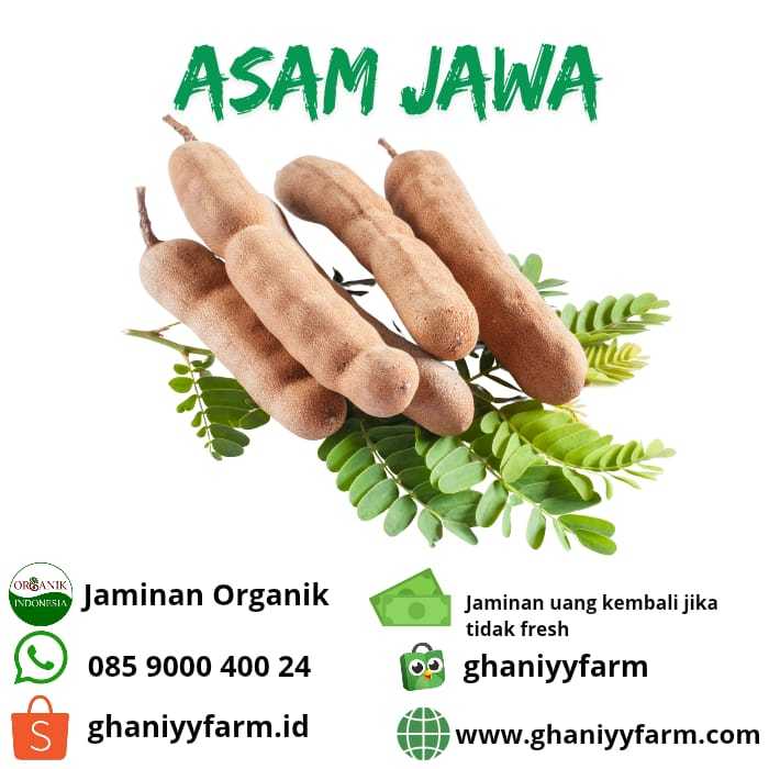 

Asam Jawa Organik 250Grm