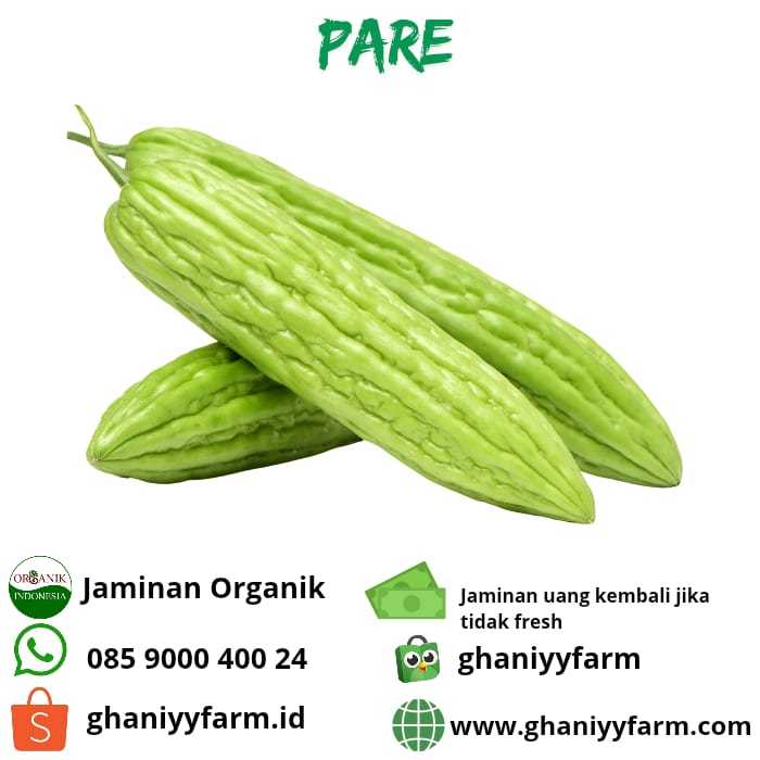 

Sayur Pare Organik 500 Gram