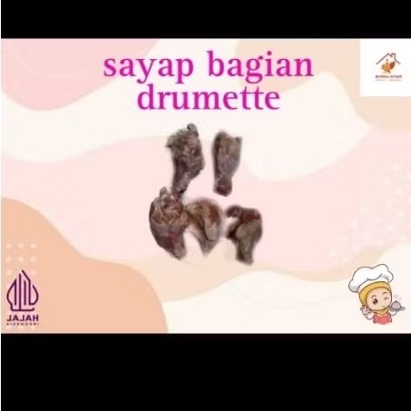

SAYAP POTONGAN BAWAH/DRUMETTE WINGS