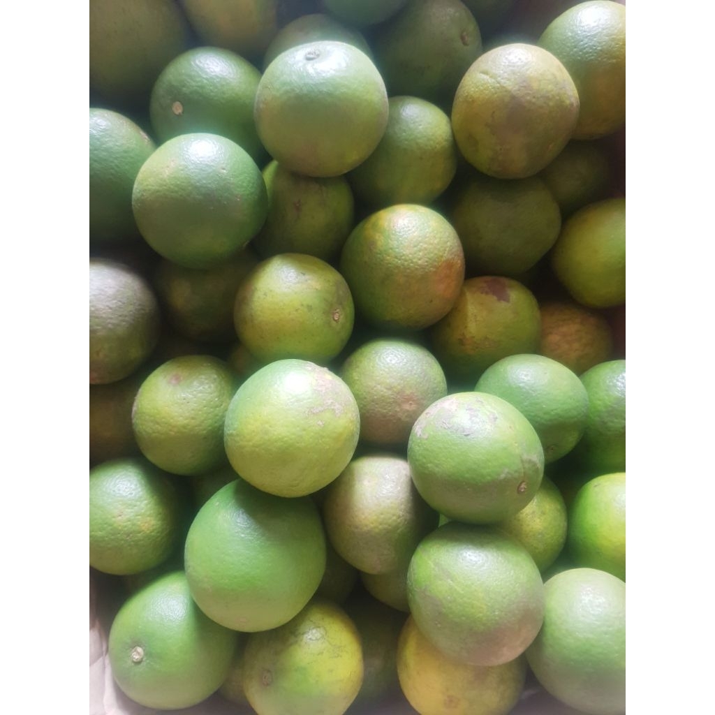 

Jeruk Baby Java Manis 1kg