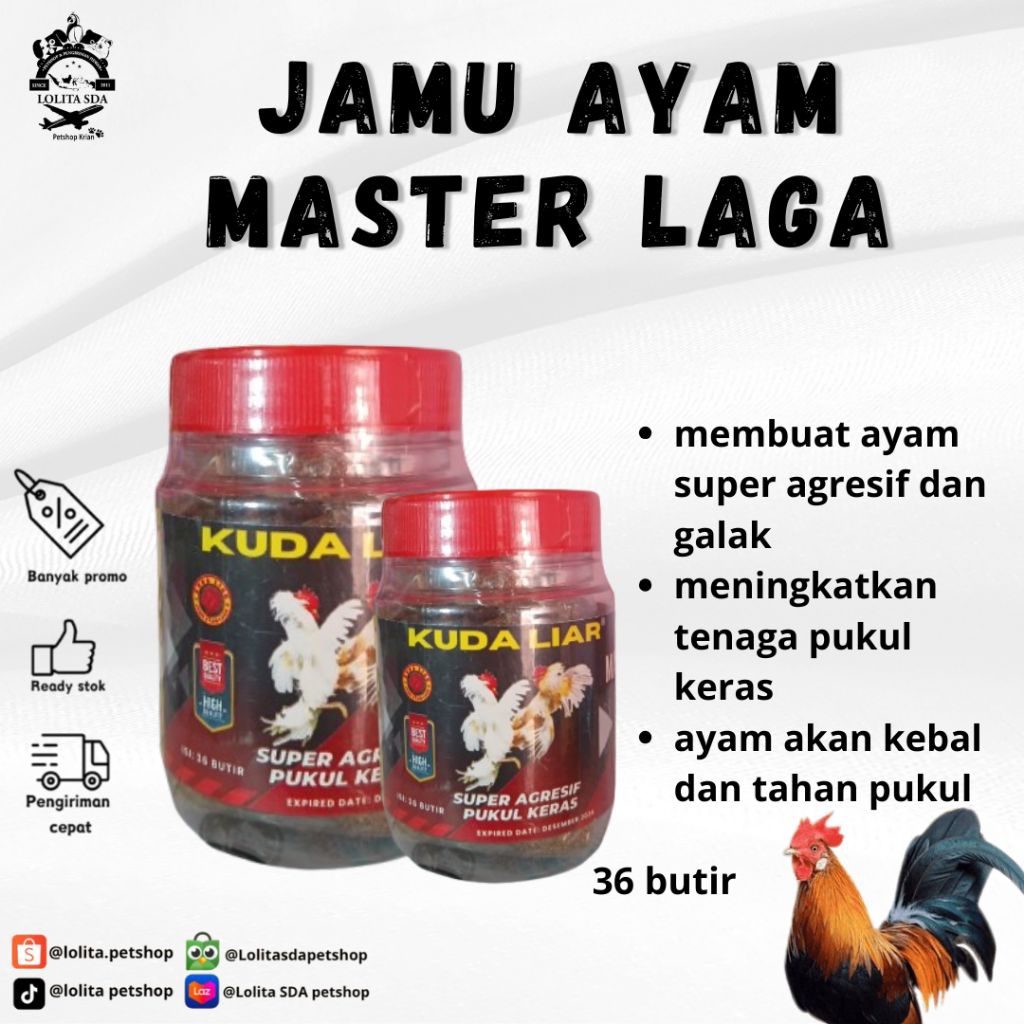 Jamu Ayam Aduan Super Agresif Dan Pukul Keras