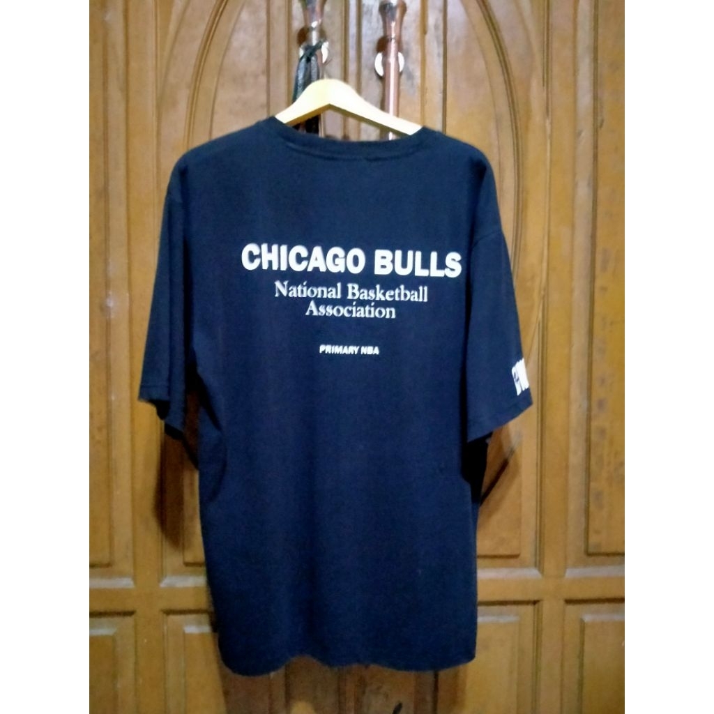 CHICAGO BULLS BORDIR