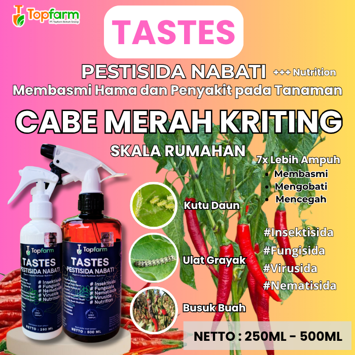 Obat Hama Penyakit Cabe Merah Kriting/ Obat Semprot Hama Cabe Merah Kriting/ Pestisida Nabati/ Pesti