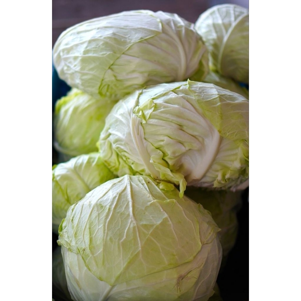 

sayur kol putih 500grm