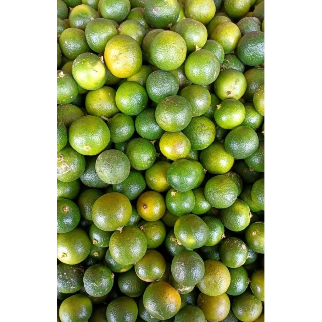 

lemon cuy/soonkit 500gr
