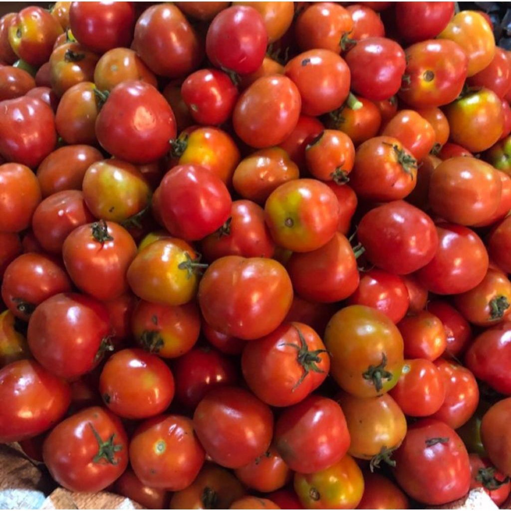

Tomat Merah segar 250grm