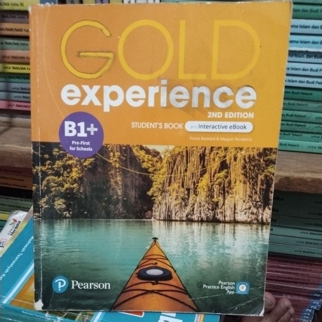 GOLD EXPERIENCE B1+
