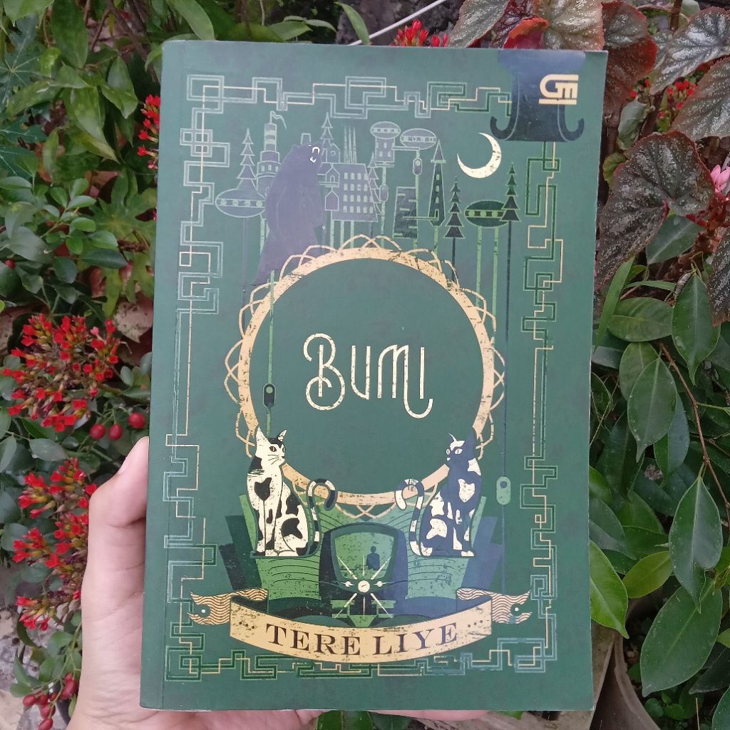 Novel Preloved Buku Bekas Bumi - Tere Bumi Series Liye