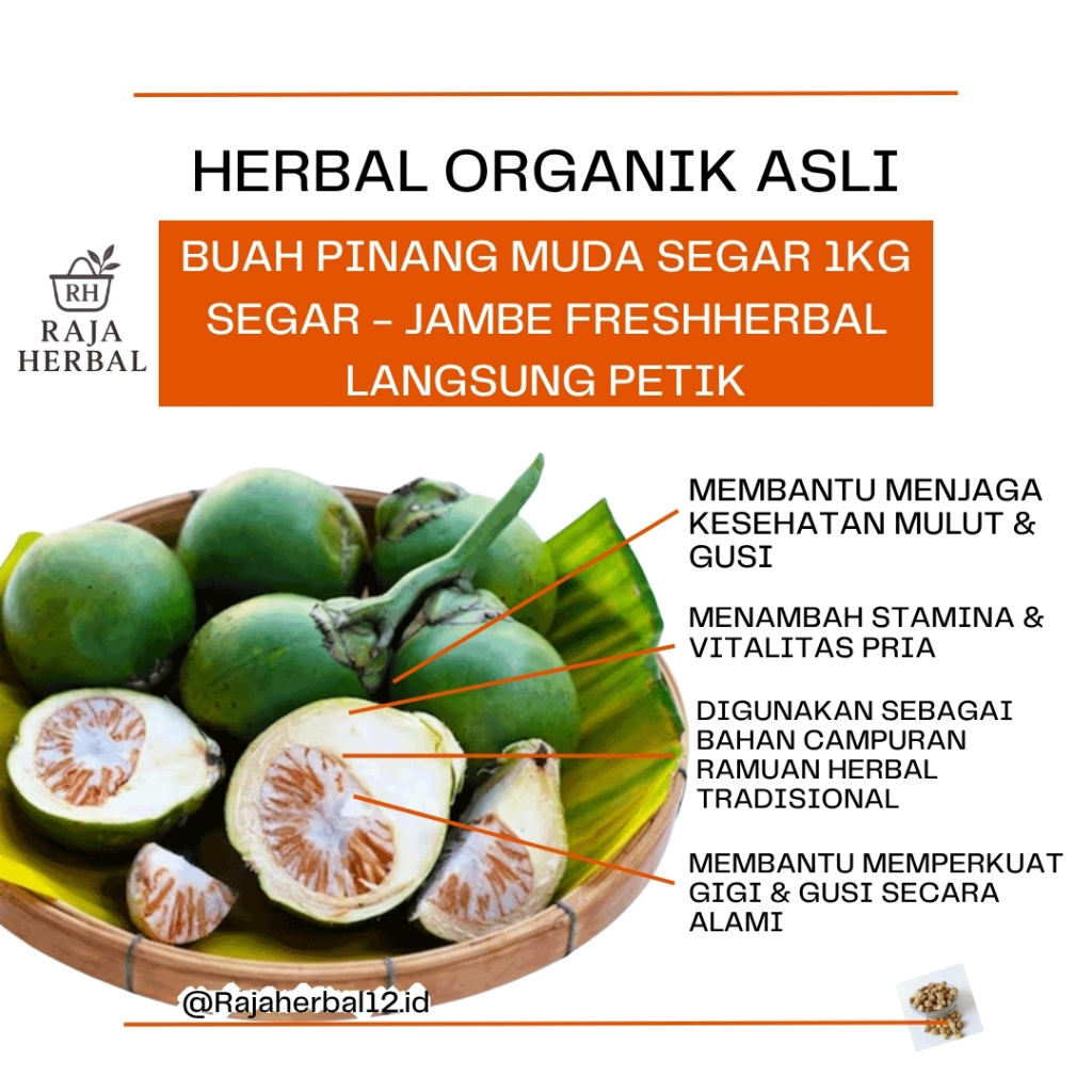 

Buah Pinang muda segar 1kg Segar - Jambe FreshHerbal Langsung Petik