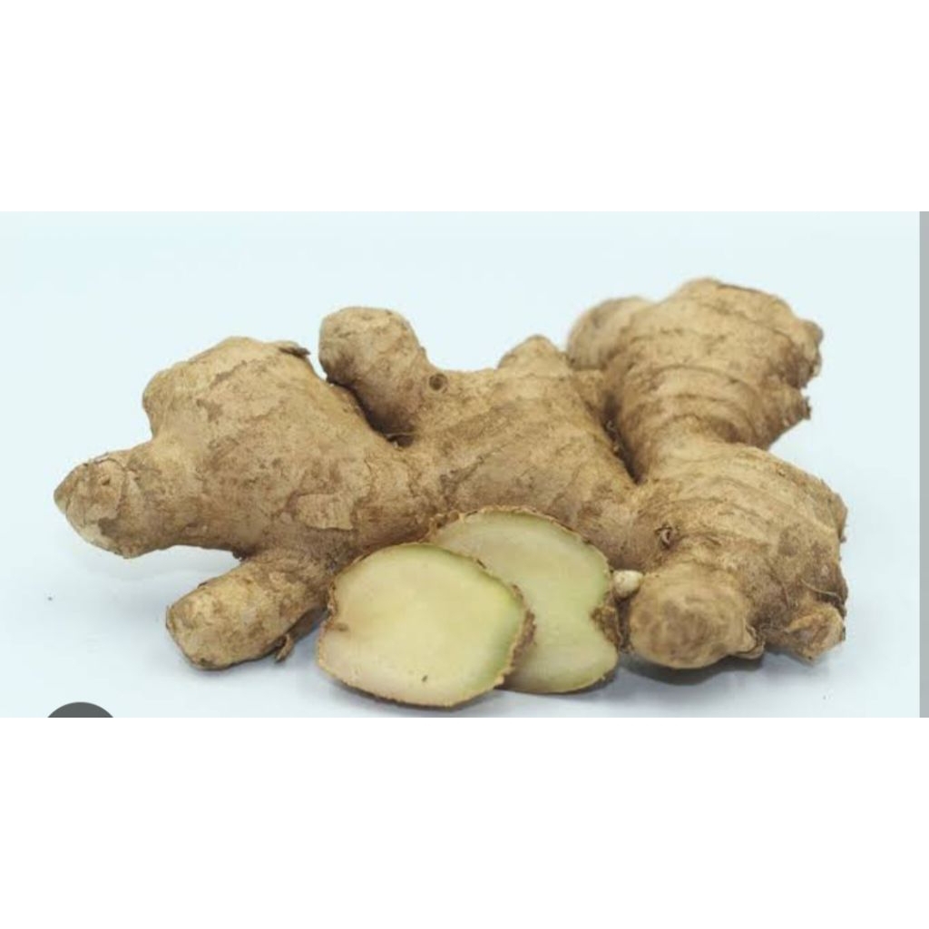 

JAHE PUTIH LOKAL FRESH 1 kg