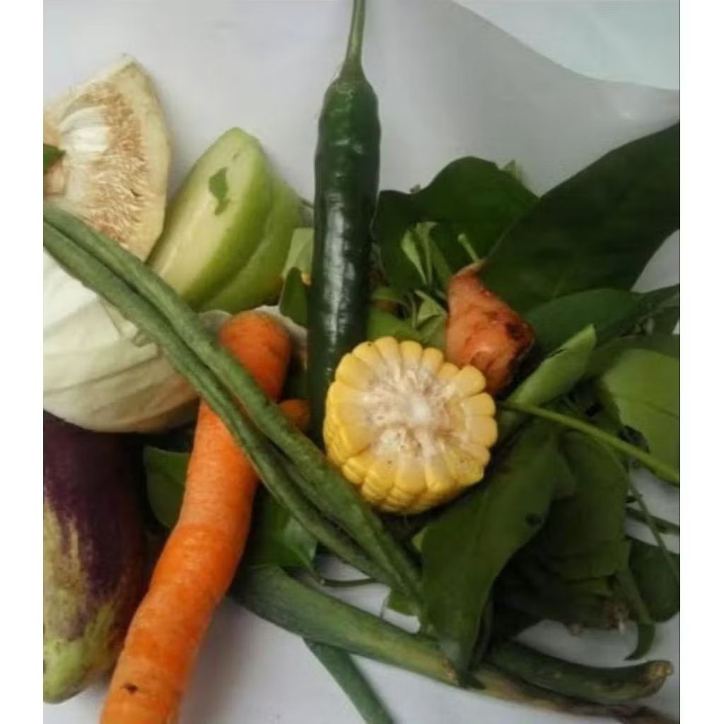 

paket sayur lodeh 1 bungkus