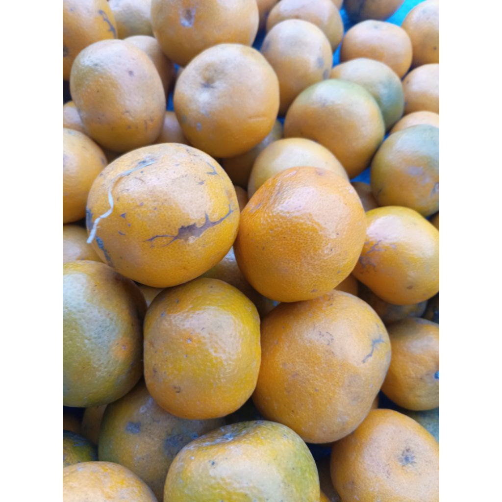 

jeruk medan manis 500 gram