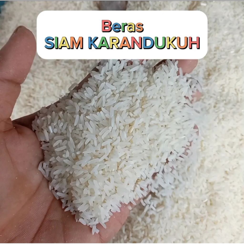 

Beras Siam Karandukuh Usang Karau – Beras banjar - Cita Rasa Tradisi, Kualitas Terjaga