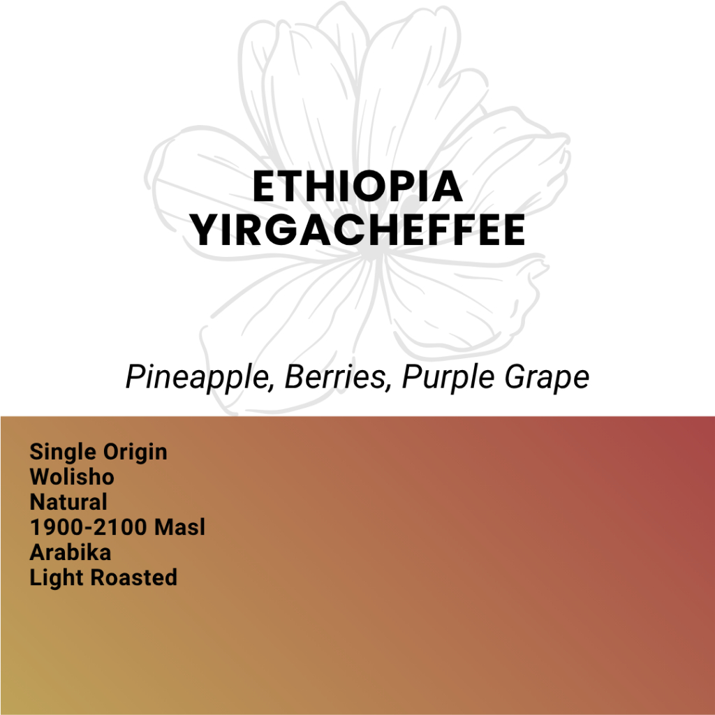 

Kopi Arabika Ethiopia Yirgacheffee Natural - Single Origin