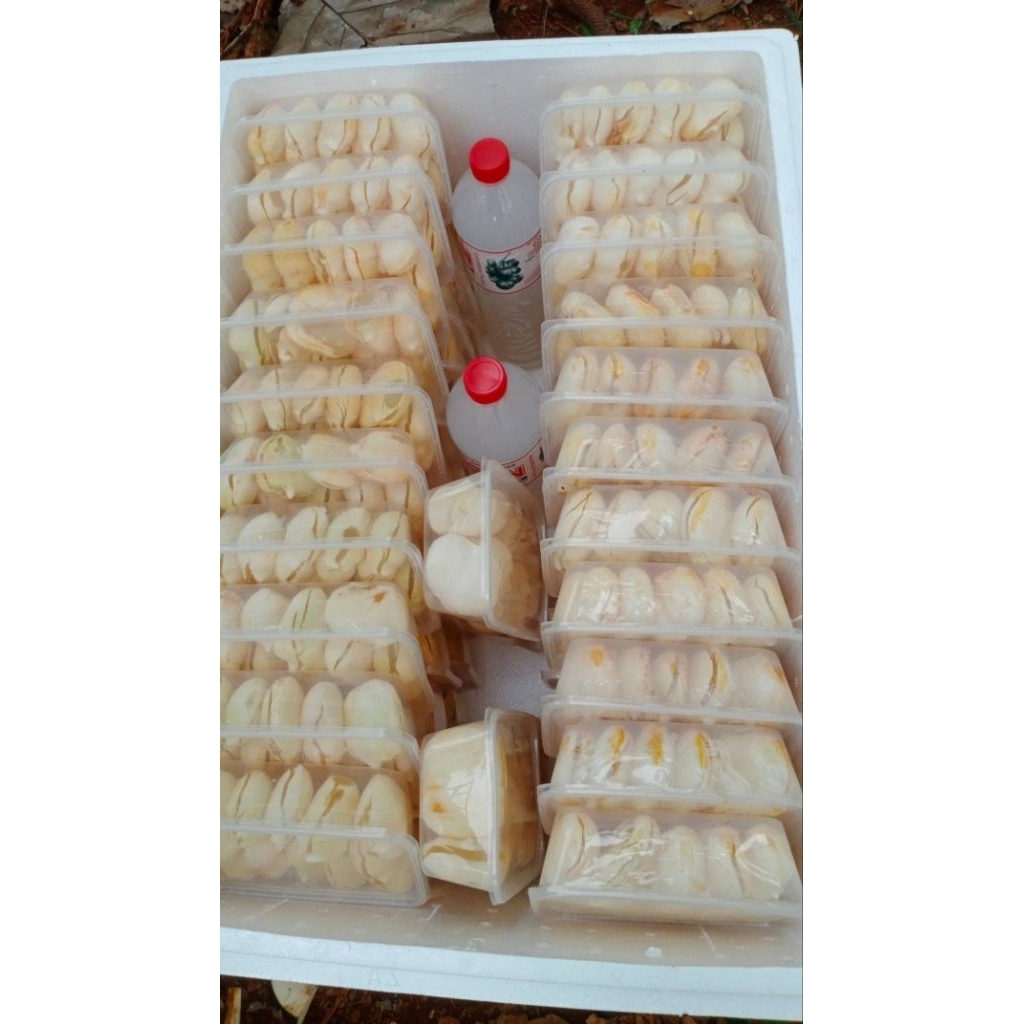 

Buah Lontar / Siwalan Kupas 1 Pack Isi 10 (Kaya Manfaat & Baik Untuk Kesehatan Ginjal)