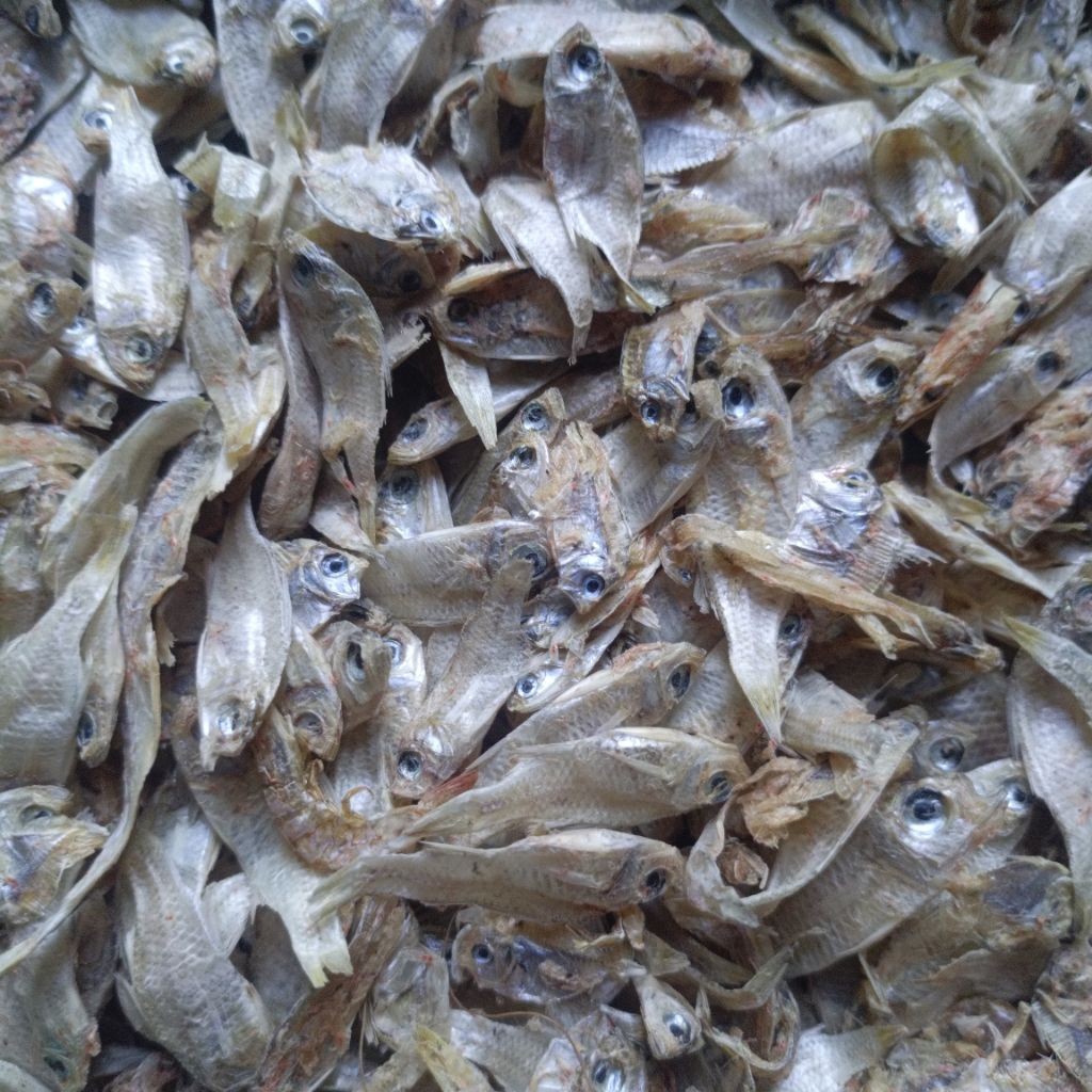 

ikan asin seriding banyak manfaatnya buat anak 100 gram IKAN ASIN SERIDING LAUT KHAS JAWA TENGAH 100 GRAM