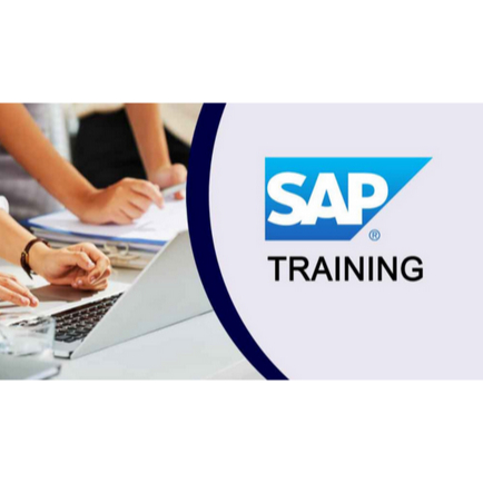 SAP ERP - 250GB content