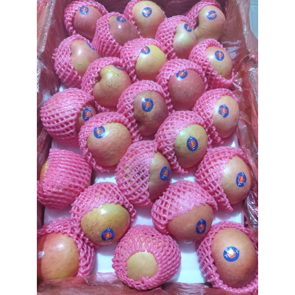 

buah segar apel fuji 1kg / pir pear century 1 kg