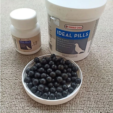 IDEAL PILL VERSELE LAGA VITAMIN MERPATI MASA ANGKREM
