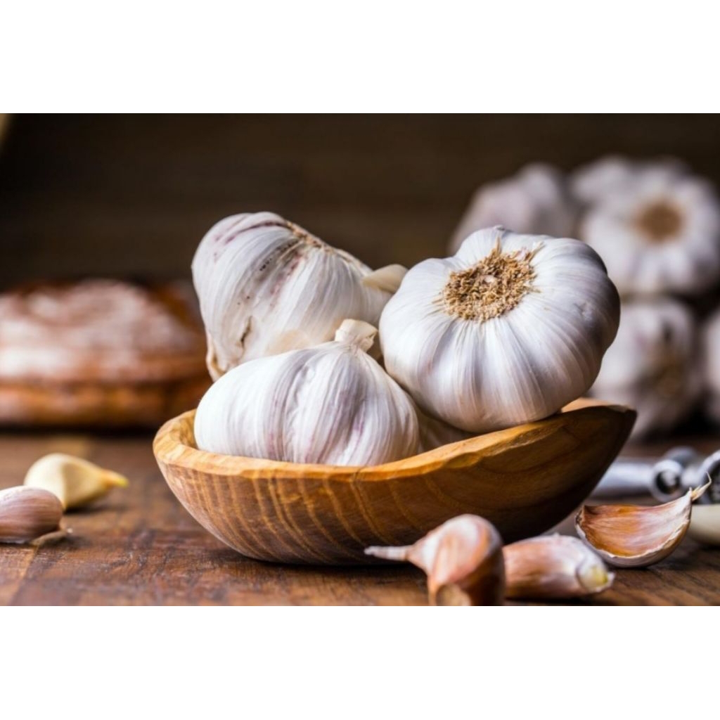 

bawang putih 250 gram bpn