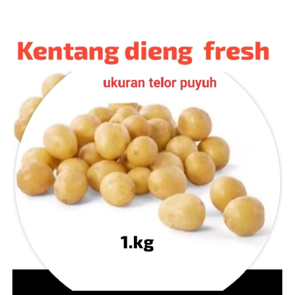 

kentang segar ukuran telor puyuh