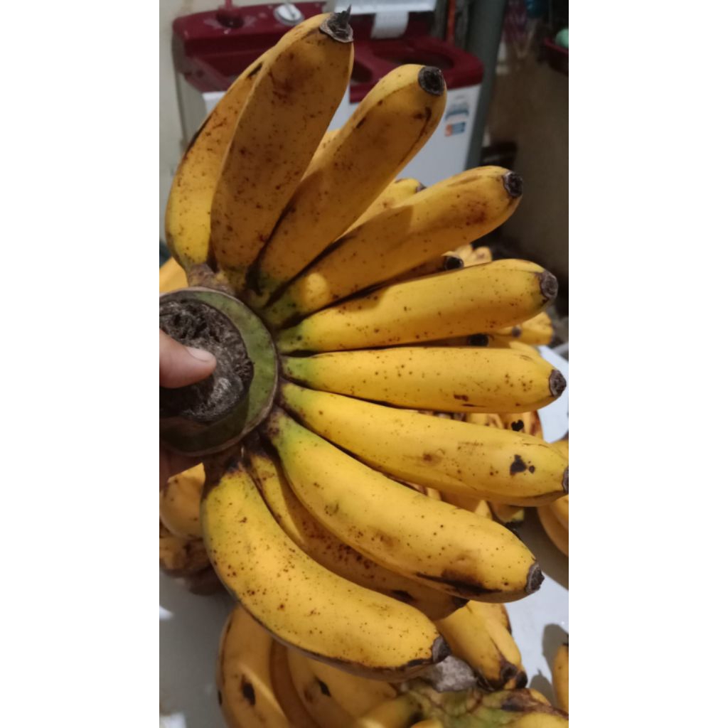 

pisang Barangan Beli satu free 1