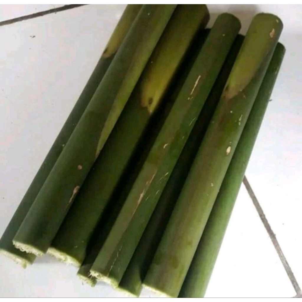 

btng honje/kecombrang tua per 1kg