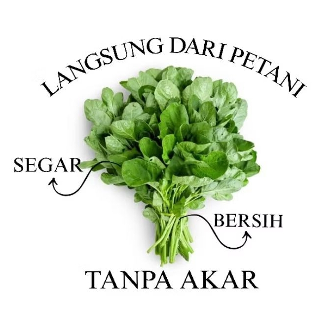 

SAYUR BAYAM MURAH SEGAR DAN BERSIH 1 IKAT LANGSUNG DARI PETANI