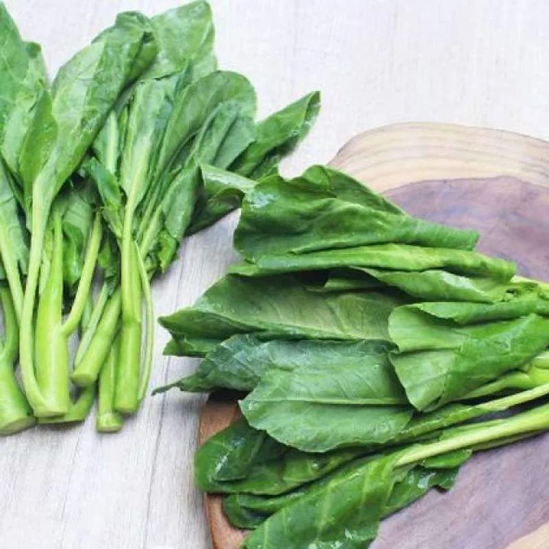 

Sayur Kailan Beby Segar Fresh Berkualitas