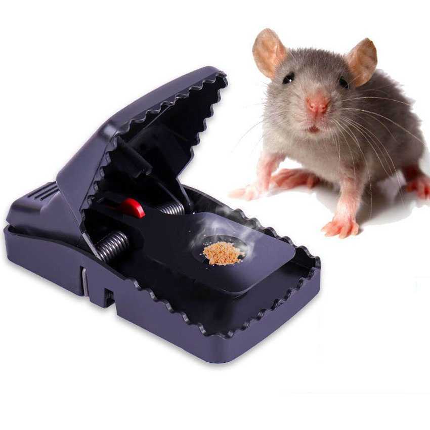 Perangkap Tikus Jebakan Tikus Ampuh Mouse Trap Besi Besar Jepit Jepretan Penangkap Tikus Otomatis Ku