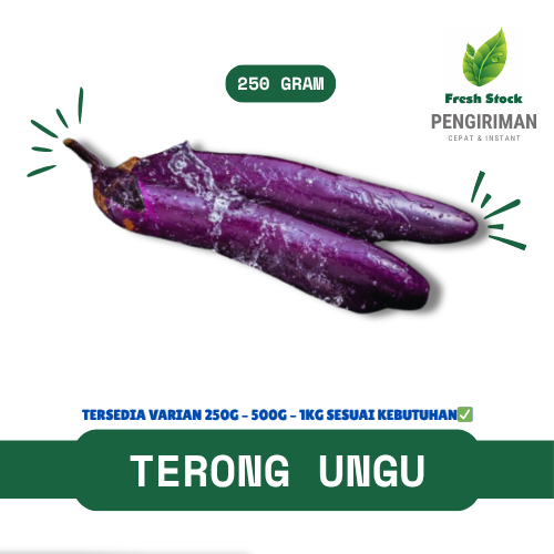 

TERONG UNGU FRESH | FreshStock