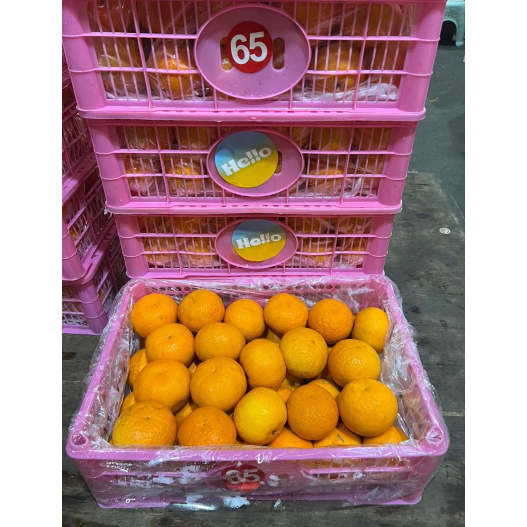 

Jeruk Wogan Mandarin 1 keranjang 6 kg