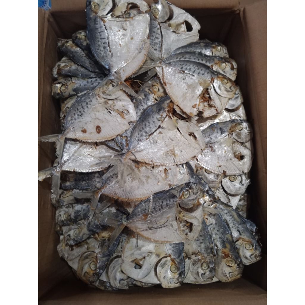 IKAN ASIN SEMAR REBUS LAMPUNG TIDAK BEGITU ASIN