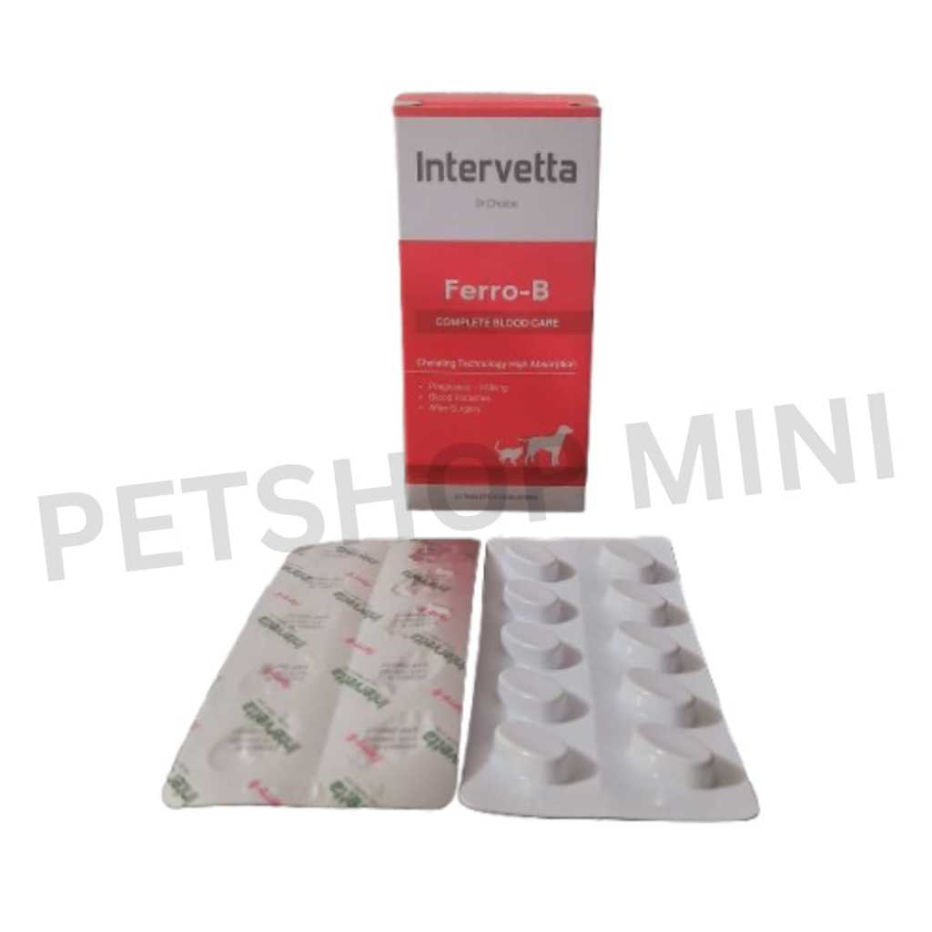 Suplemen penambah darah Ferro B