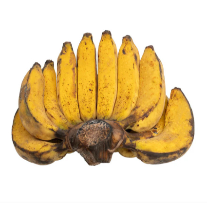 

Pisang Raja per Sisir