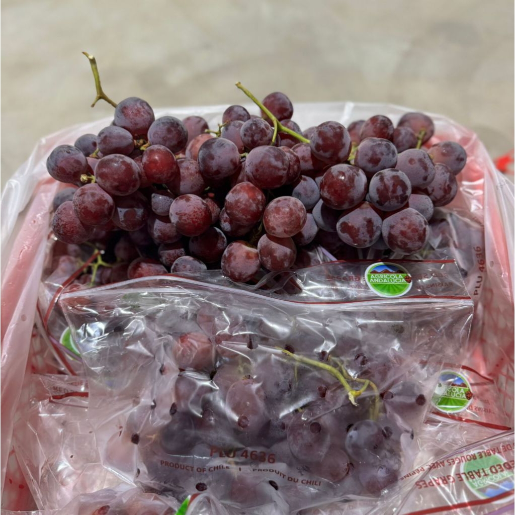 

ANGGUR IMPORT RED GLOBE CHILE ^XL AGRICOLA/ KG