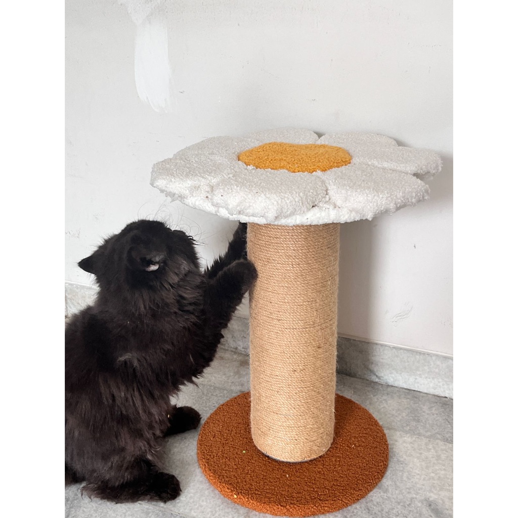 Cat Scratcher Cakaran Kucing Mainan Garukan Kucing Tempat Cakaran Kucing Kayu Sisal Cat Tree