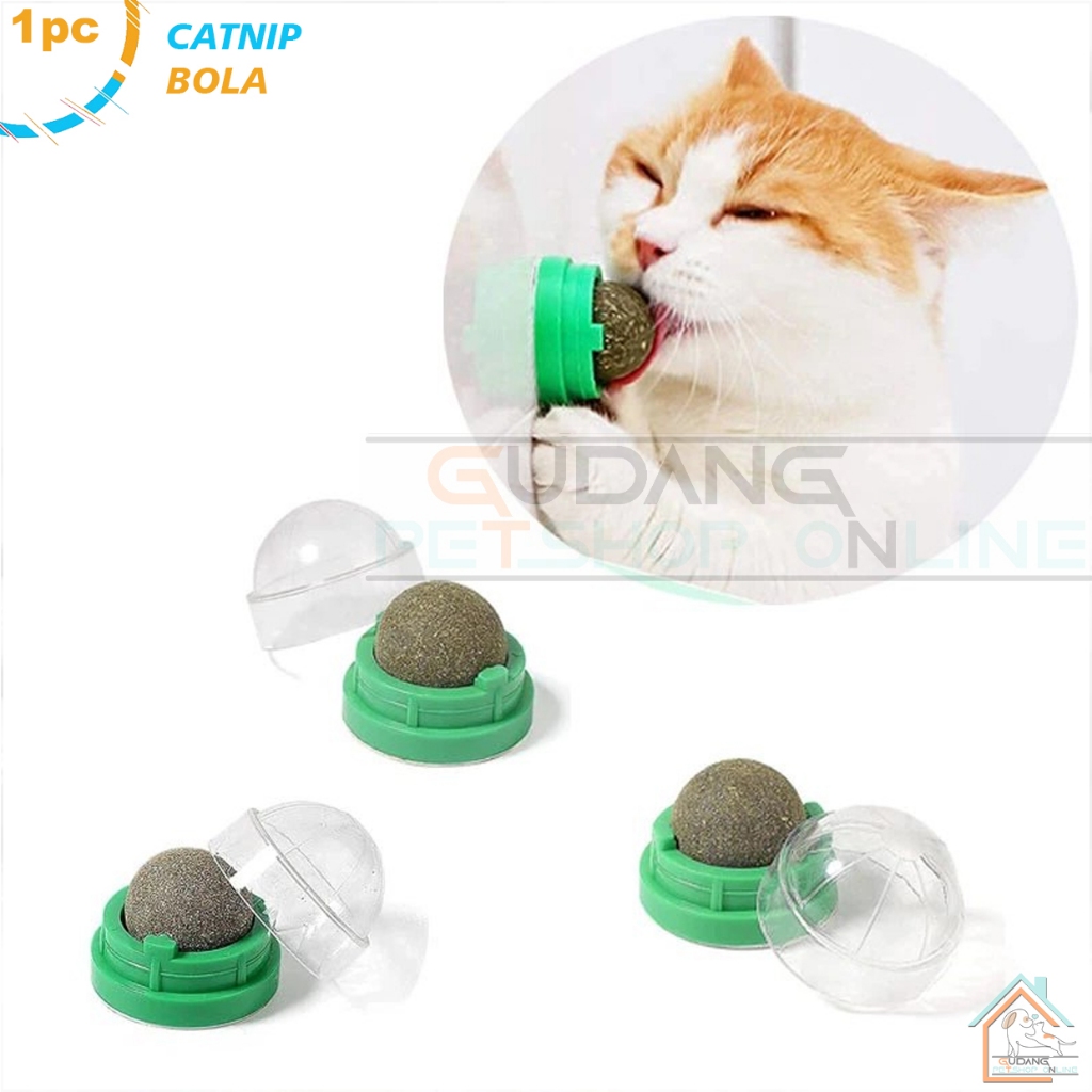 Catnip Bola Mainan Kucing Bola Catnip Rotating Catnip Ball Catnip Kucing Anti Stress Catnip Ball Bol