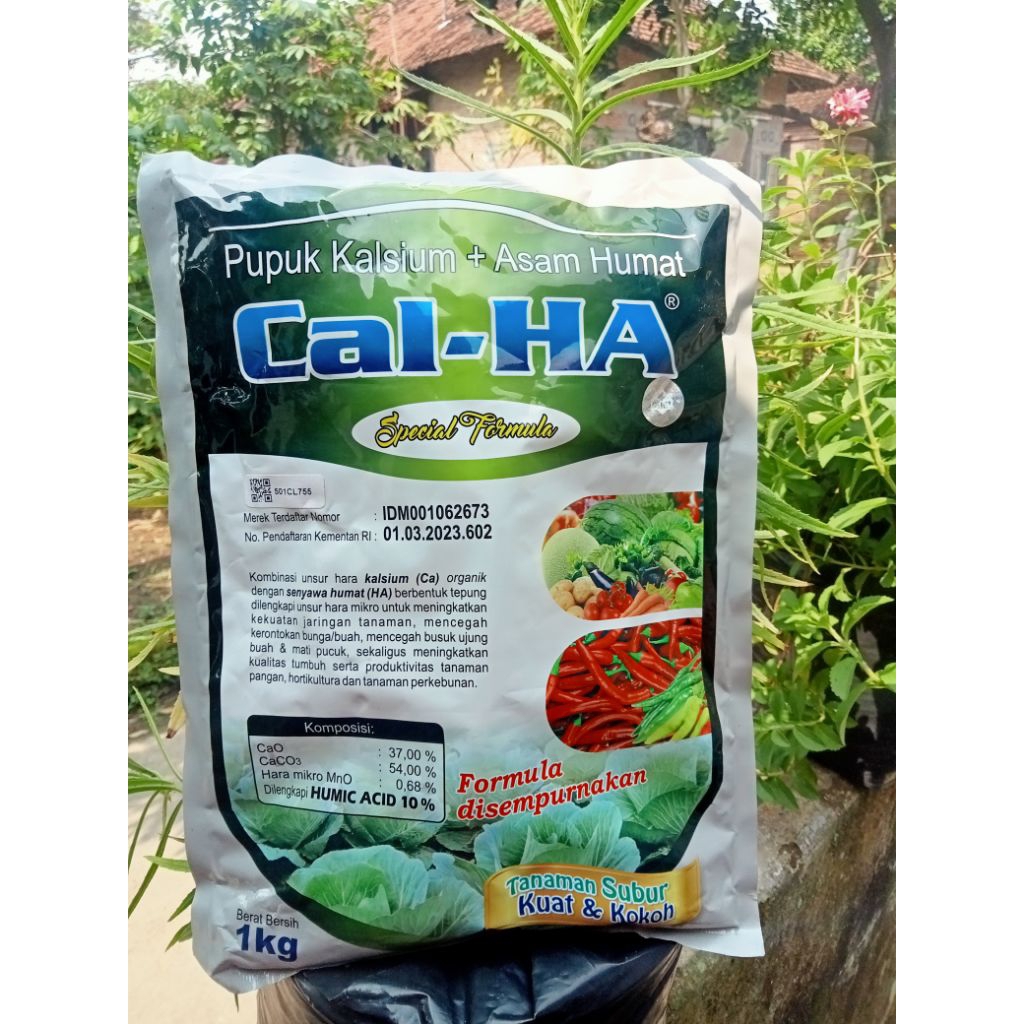 CAL-HA Pupuk kalsium + asam humat