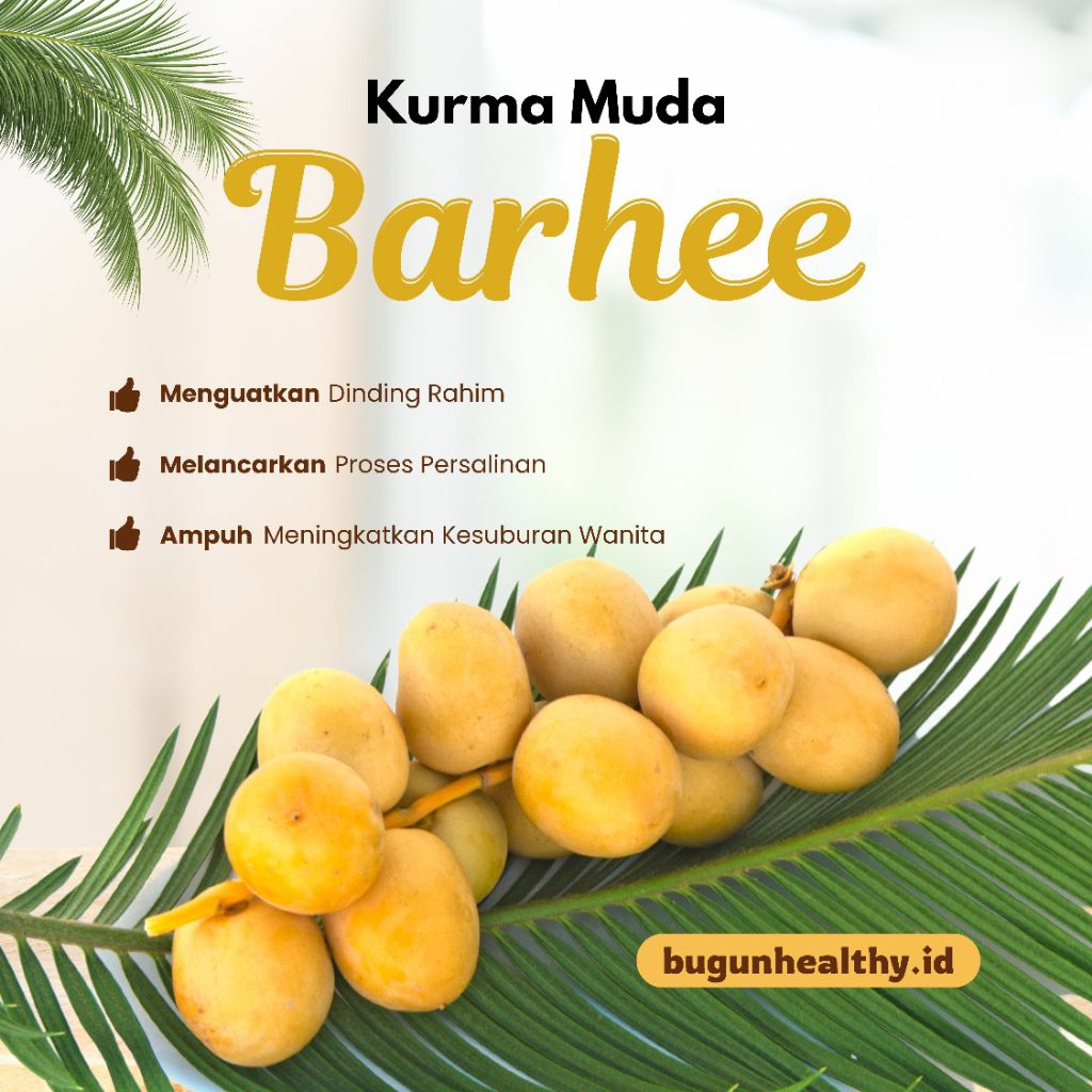 

READY TANPA PO! KURMA MUDA BARHEE SEGAR - FREE BUAH ZURIAT - UNTUK PROGRAM HAMIL & KESUBURAN