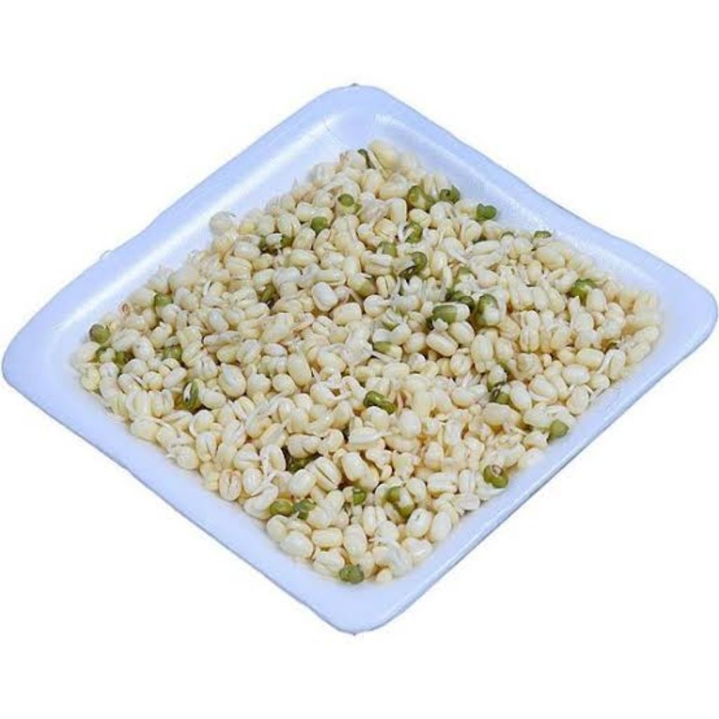 

Cambah Pendek / Tauge Pendek - Cocok Untuk Soto, Bakso & Pecel (100gr / 250gr / 500gr)