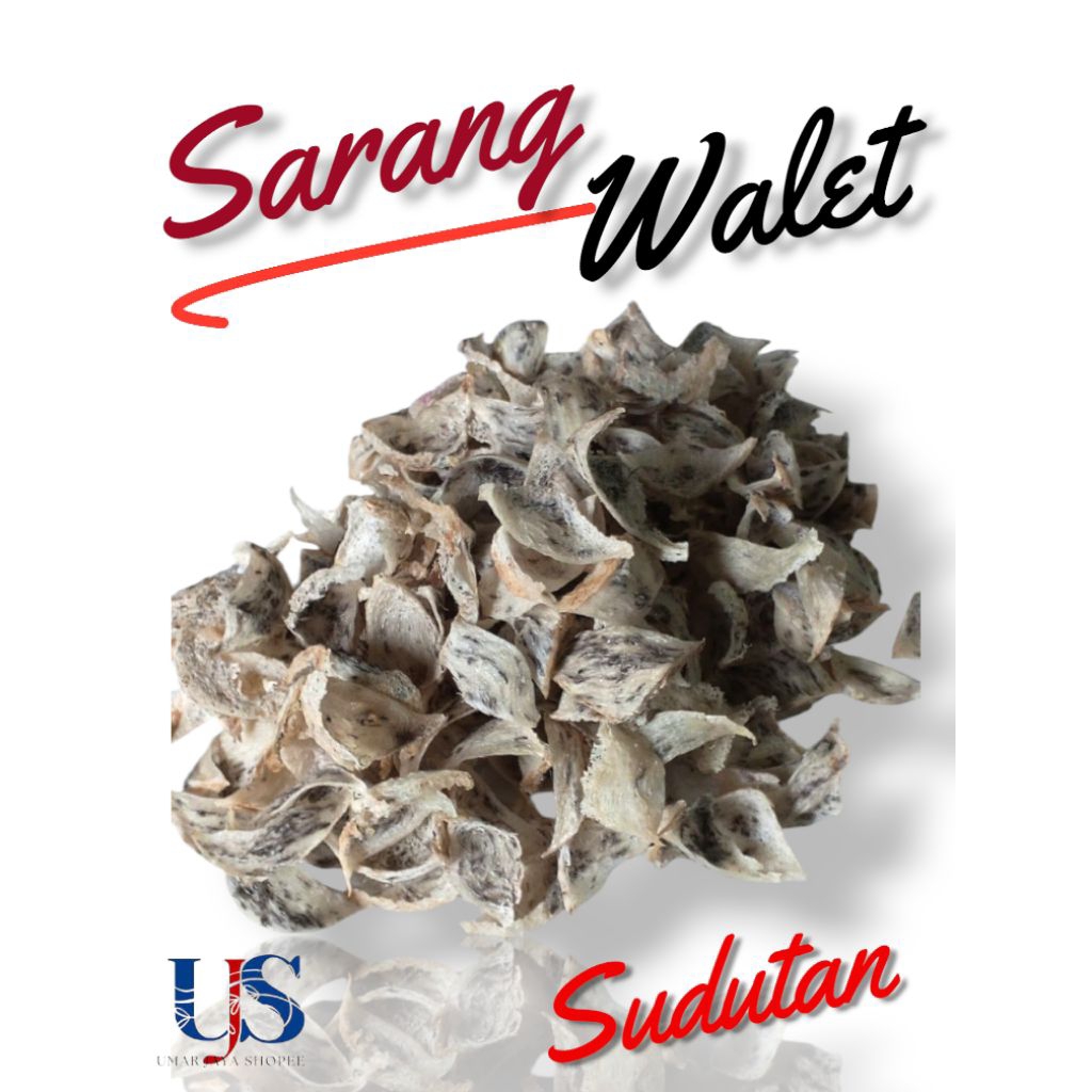 

(COD) SARANG BURUNG WALET SUDUTAN ORIGINAL