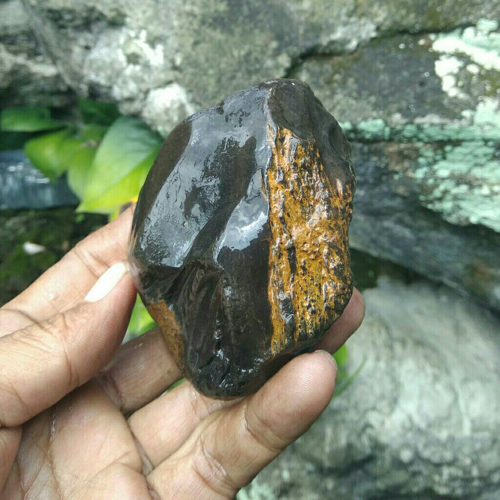 Rough Natural Fossilized Wood Batu Fosil Kayu Asli Bahan Batu Akik Fosil Kelor