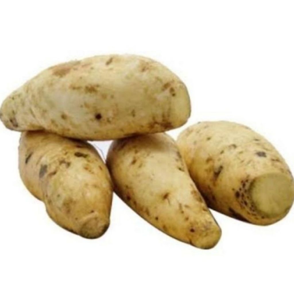 

Ubi Cilembu Besar 5 Kilo Bonus 1 kilo Asli tegal Ubi Madu Manis