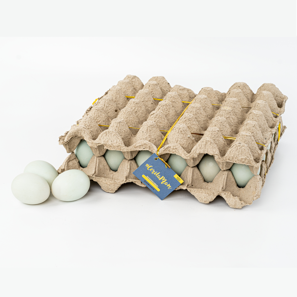 

GM TELUR BEBEK TAWAR