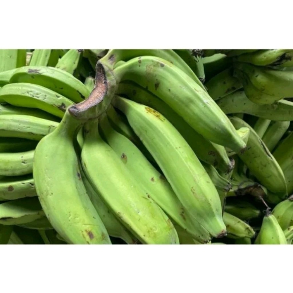

Pisang Nangka murah