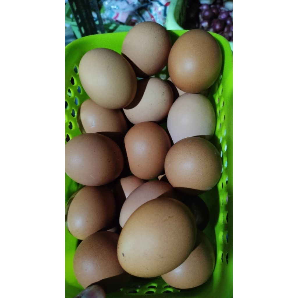 

telur ayam (satuan/bijian) telur surabaya bukan lokal ataupun sulawesi