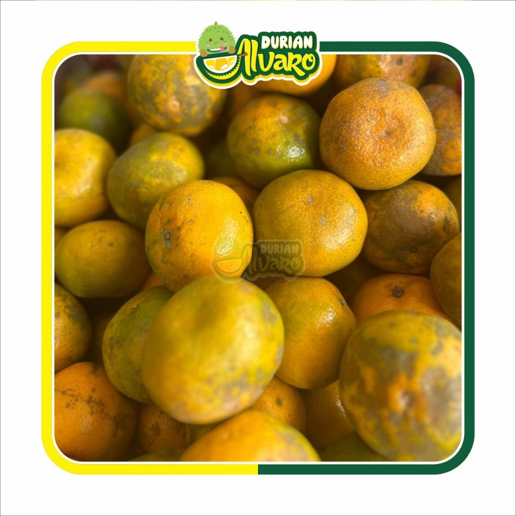 

Jeruk Medan ±1kg