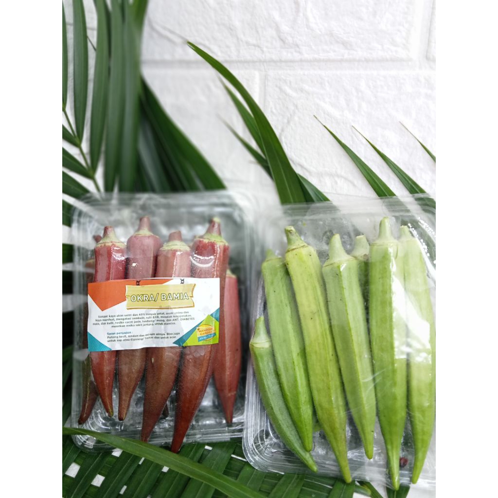 

SAYUR OKRA HIJAU /MERAH SEGAR 200GR