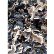 

Jamur Kuping Kering Medan Daily Market